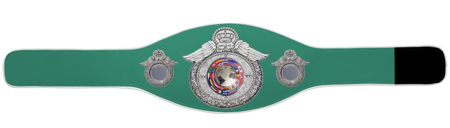 CHAMPIONSHIP BELT PROWING/S/FLAGS - AVAILABLE IN 6+ COLOURS CHAMPIONSHIP BELT PROWING/S/FLAGS - AVAILABLE IN 6+ COLOURS